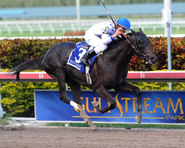 Racing at Gulfstream Park