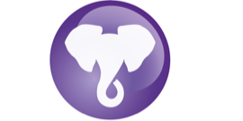 Casino Technology's Elephant RGS