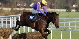 Cheltenham Gold Cup winner Lord Windermere