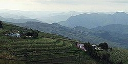 Piggs Peak