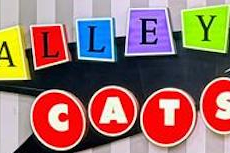 alleycats