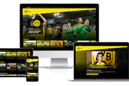 BVB-TV 