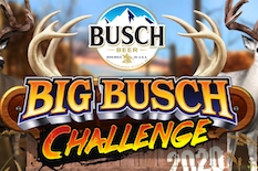 Big Buck