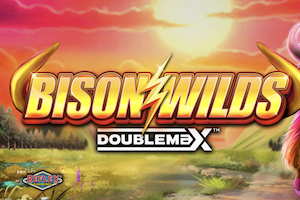 Bison Wilds DoubleMax
