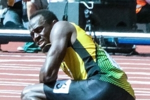 Bolt 
