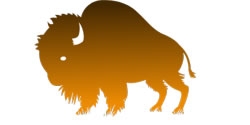 Buffalo Studios