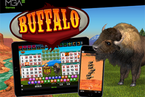 Buffalo bingo