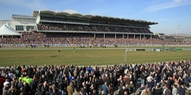 Cheltenham Festival