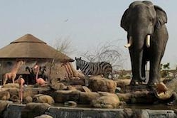 Dubai Safari Park