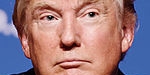 President elect, Donald Trump Jnr