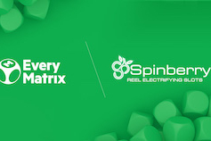 EveryMatrix and Spinberry