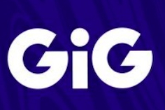 Gaming Innovation Group