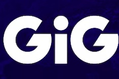 Gaming Innovation Group