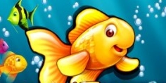 Gold Fish