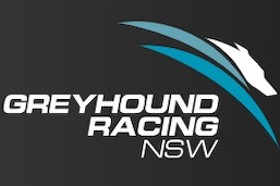 Greyhound Racing NSW, Entain