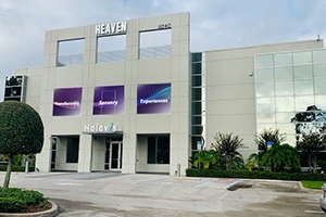 Holovis global expansion