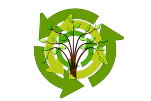 IAAPA Sustainability