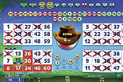 Video bingo