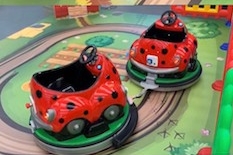 Ladybird Train