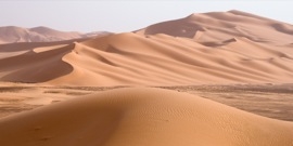 Sahara desert dunes