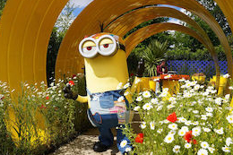 Minions 