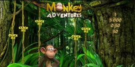 Monkey Adventures