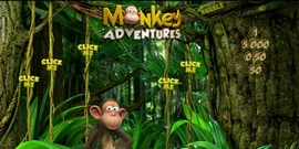 Monkey Adventures