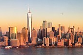 NY