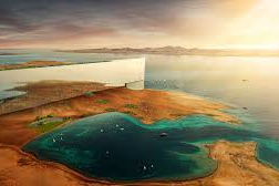 Neom
