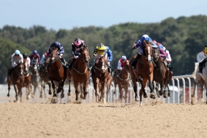 Northumberland Plate 