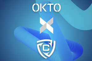 OKTO CyberTeam Solutions