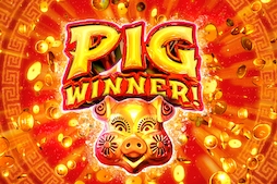 Pig Winner