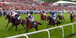 Epsom racecourse