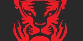 Red Tiger appoints Ejlertsson
