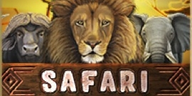 Safari game
