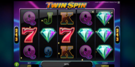 Twin Spin
