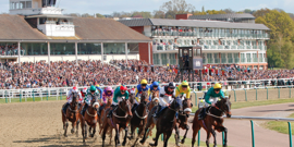 Lingfield Park