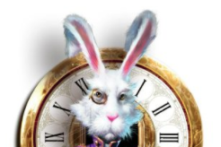 White Rabbit an online hit with LeoVegas