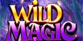 Wild Magic