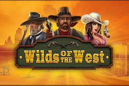 Silverback Gaming Wilds of the West