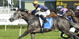 Sky Racing World