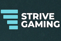 Strive Gaming
