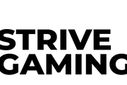 Strive Gaming