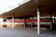 Tote Cheltenham