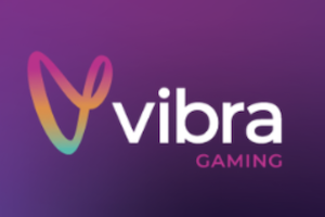 Vibra Gaming