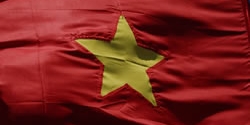 Vietnamese flag