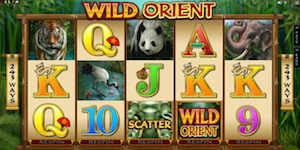 Wild Orient