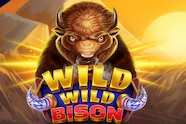 Wild Wild Bison