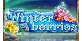 Winterberries from Yggdrasil
