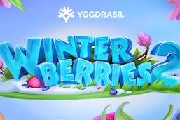 Yggdrasil Winterberries 2